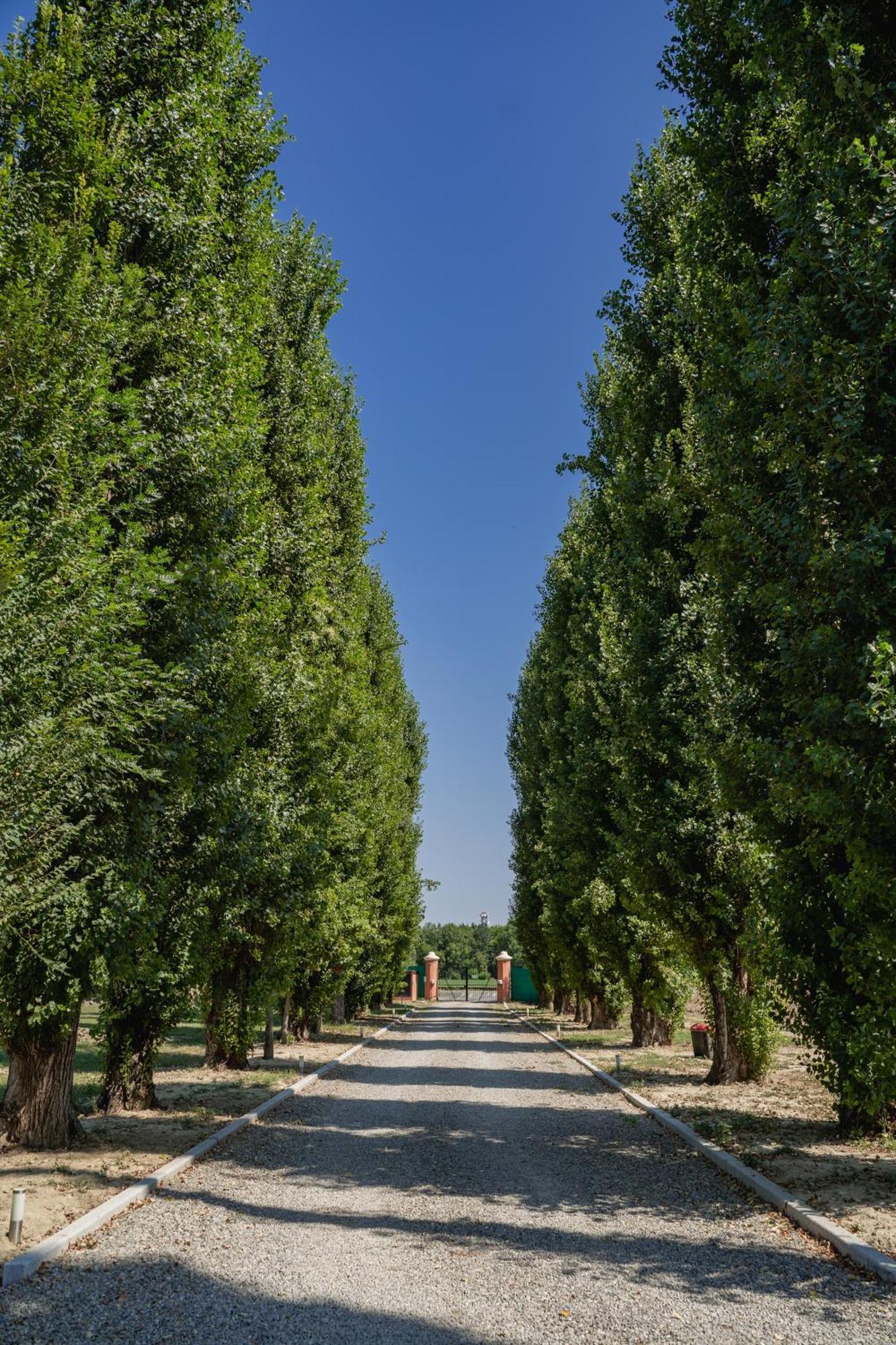 Villa Iris Modena Exterior photo
